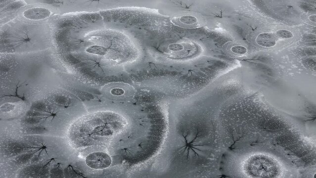 Kamloops Winter Magic: Enigmatic Ice Circles on Frozen McQueen