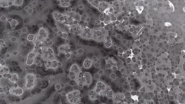 Lac du Bois Frozen Treasure: Frozen McQueen's Spellbinding Ice Circles