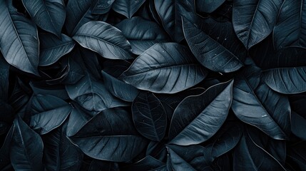 Immerse yourself in the abstract beauty of black leaves, creating a tropical leaf background. Ai...