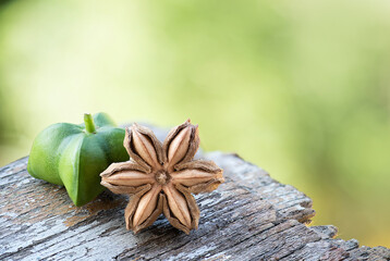 Plukenetia volubilis or Sacha inchi dried and fresh fruit on natural background.