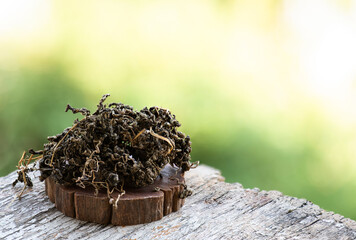 Dried gynostemma pentaphyllum or jiaogulan leaves on natural background.