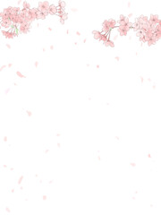 桜と桜吹雪のイラスト　水彩風　3：4　桜の花びらが舞い散るイラスト - obrazy, fototapety, plakaty