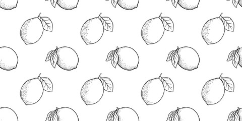 Hand drawn vector seamless pattern with etching lemon or lime, leaves in engraved style. Vector black and white repeat backdrop - obrazy, fototapety, plakaty