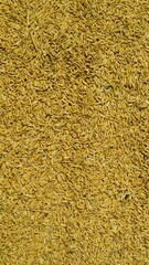 The organic raw rice texture background