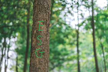 Obraz premium ESG concept ,Sustainable development goal (SDGs) Ideas for Sustainable development and green business based Global communication network