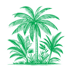 Palm or coconut tree tropical green leaves. hand drawing doodle sketch style vector illustration