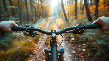  POV bike ride through an autumnal forest trail. © RISHAD
