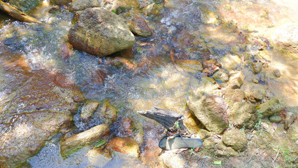 A Stretch Of Rocks At The Bottom Of A Fresh, Fresh Water River From The Mountains, In A Tropical Forest, Indonesia