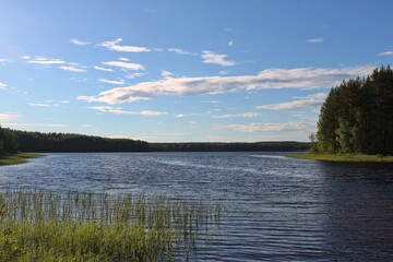 Forest lake and blue sky. Republic of Karelia, Russia.