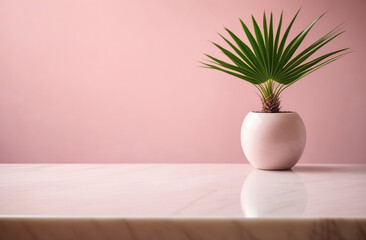 Empty blank marble tabletop on a pink wall, beautiful floral tropical shadow. Minimalistic backdrop for product presentation, podium, pedestal. Showcase, display case. Minimal abstract background.