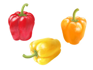 カラフルなパプリカのリアルな水彩イラストセット