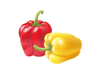 赤と黄色のパプリカのリアルな水彩イラスト