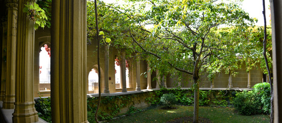 arbre dans jardin suspendu sur porte château d'Olite dans le pays de Navarre en Espagne