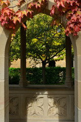 lierre rouge sur porte dans un jardin suspendu sur porte château d'Olite dans le pays de Navarre en Espagne