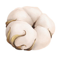 A watercolor illustration of a cotton flower, suitable for a wide range of applications including botanical prints, textile designs, nature-themed stationery, and home decor products