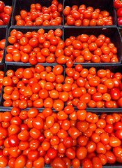 Ripe tomatoes on the counter in the market
