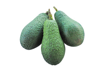 collection of avocado images
