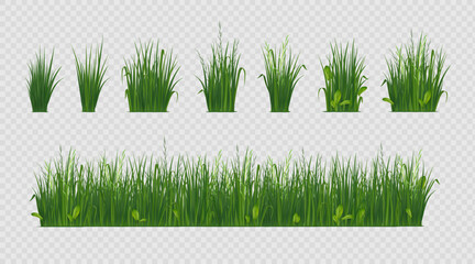 3d grass. Green weed garden, farm field landscape or spring sprout border, outdoor lawn meadow or park. Isolated decor realistic elements. Summer herbal landscape. Vector design background - obrazy, fototapety, plakaty