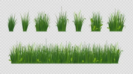 Fotobehang 3d grass. Green weed garden, farm field landscape or spring sprout border, outdoor lawn meadow or park. Isolated decor realistic elements. Summer herbal landscape. Vector design background © SpicyTruffel