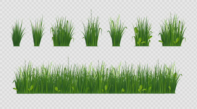 3d grass. Green weed garden, farm field landscape or spring sprout border, outdoor lawn meadow or park. Isolated decor realistic elements. Summer herbal landscape. Vector design background