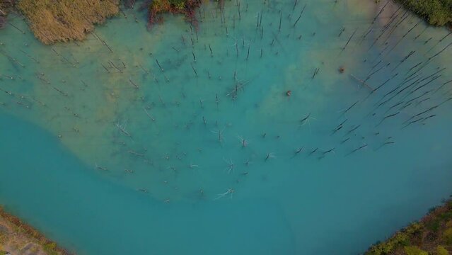 Cinematic aerial shot of Aoiike Blue Pond in Biei City in Hokkaido, Japan