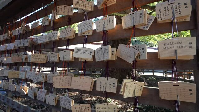 The Ema tablets, wooden plaques on which the faithful write the wishes to be addressed to the spirits, hanging at the Meiji Shinto shrine. 