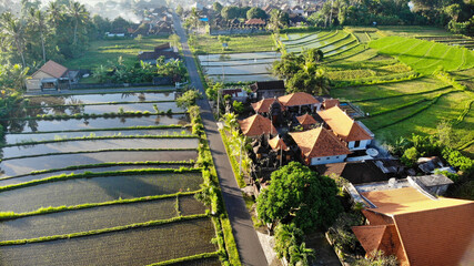 Aerial view of the village with rice field