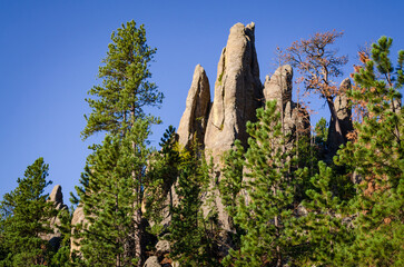 Rugged Overlook at the Black Hills in South Dakota