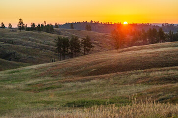 Fototapeta premium Prairies and Grasslands of Wind Cave National Park in South Dakota