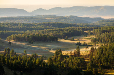 Prairies and Grasslands of Wind Cave National Park in South Dakota