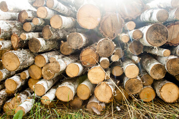A pile of birch firewood lies on the grass. Chopped firewood stacked in a pile. Pile of logs for fireplace