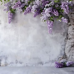 beautiful lilac branches on the old grey vintage background lilac flowers blooming lilac floral...