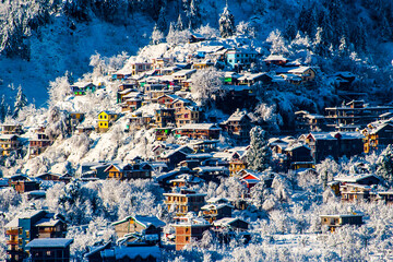 Snow in Himachal Pradesh, India