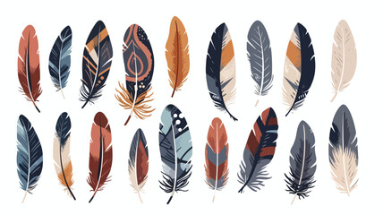 Set of buzzard feathers in flat style. Beautiful