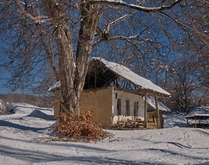 A winter landscape in the countryside with an abandoned clay house near a large walnut tree.