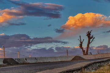 An asphalt road leading uphill, a solitary tree, and beautiful clouds at sunset.