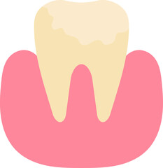 Dental Teeth Illustration