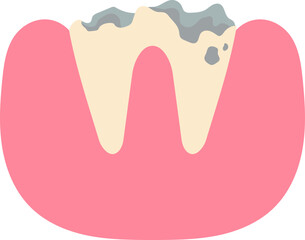 Dental Teeth Illustration