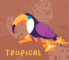 Obraz premium Tropical birds, toucan on blooming vanilla branch