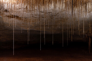 Alexandra Cave in Naracoorte Caves National Park