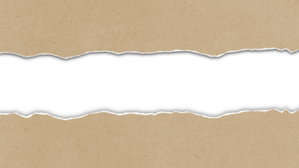 Torn strip of old paper