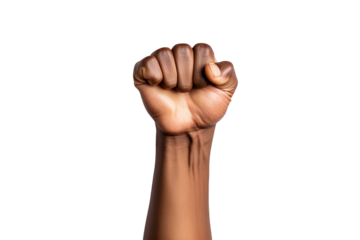 PNG Image of Close Up Hand
