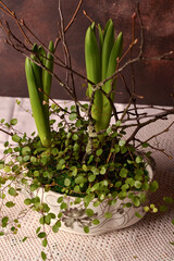 Flower arrangement ,home decoration for Easter