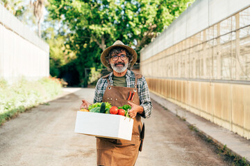 Farmer senior man working in his farm and greenhouse - 733664005