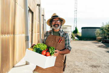 Farmer senior man working in his farm and greenhouse - 733664030