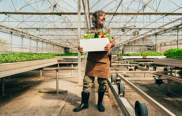 Farmer senior man working in his farm and greenhouse - 733664207