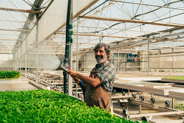 Farmer senior man working in his farm and greenhouse - 733664243