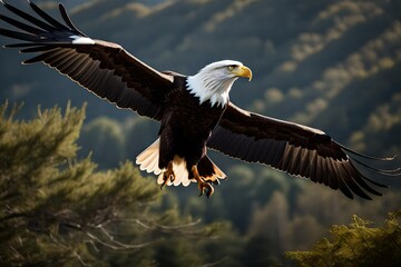 A super realistic portrayal of a bald eagle in flight, emphasizing perfect lighting to illuminate its majestic wingspan and sharp features against a natural backdrop 