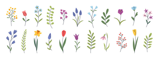 Botanical set of wild and garden flowers. Blooming season. Tulip, daffodil, crocus, muscari, snowdrop. Hand drawn floral elements. Vector illustration for greeting card, invitation, poster, banner. - obrazy, fototapety, plakaty