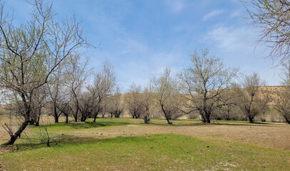 The landscape of wild nature is an incredible freedom, a deep feeling of unity with the world and the planet.